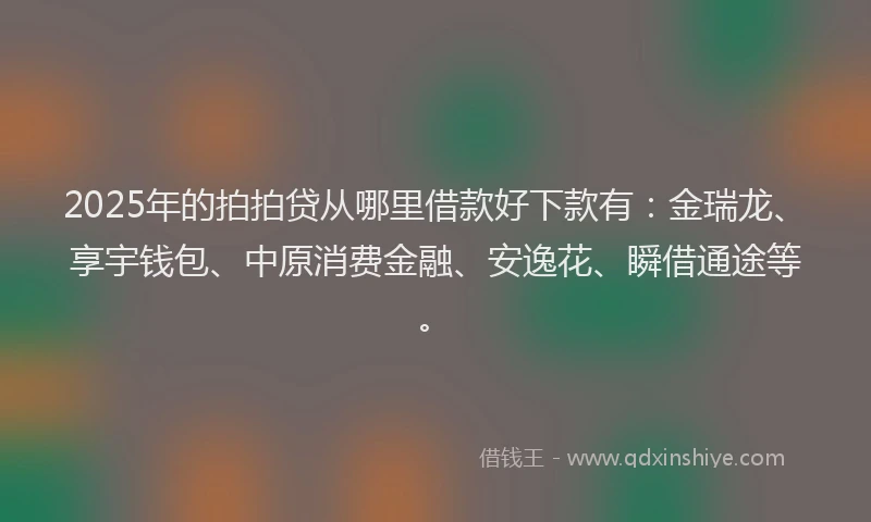 2025年的拍拍贷从哪里借款好下款有：金瑞龙、享宇钱包、中原消费金融、安逸花、瞬借通途等。