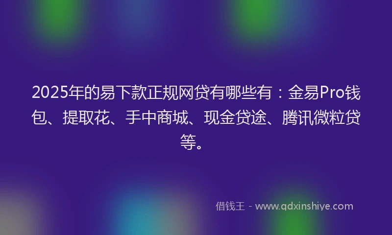 2025年的易下款正规网贷有哪些有：金易Pro钱包、提取花、手中商城、现金贷途、腾讯微粒贷等。