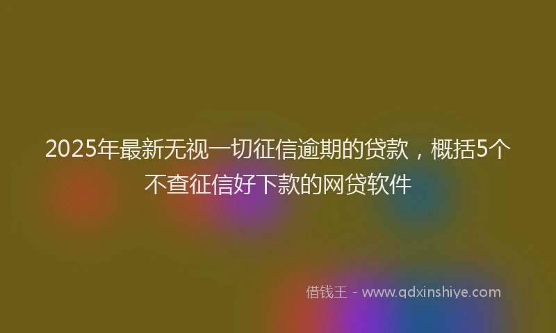 2025年最新无视一切征信逾期的贷款，概括5个不查征信好下款的网贷软件