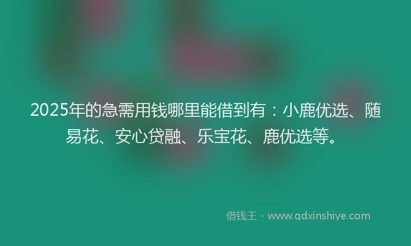 2025年的急需用钱哪里能借到有：小鹿优选、随易花、安心贷融、乐宝花、鹿优选等。