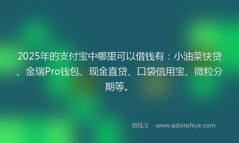 2025年的支付宝中哪里可以借钱有：小油菜快贷、金瑞Pro钱包、现金直贷、口袋信用宝、微粒分期等。