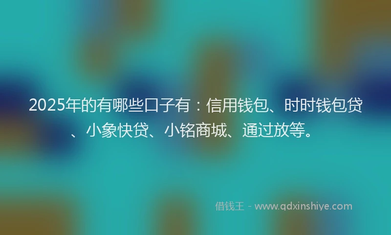 2025年的有哪些口子有：信用钱包、时时钱包贷、小象快贷、小铭商城、通过放等。