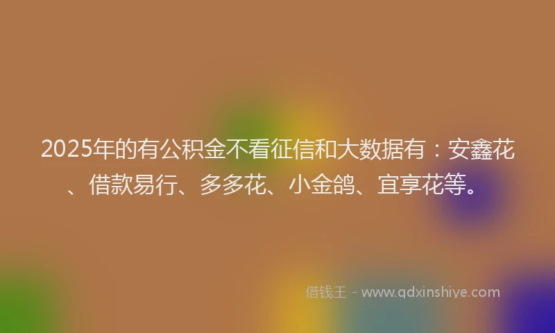 2025年的有公积金不看征信和大数据有：安鑫花、借款易行、多多花、小金鸽、宜享花等。