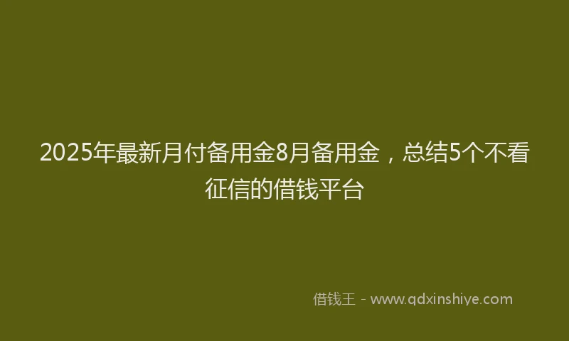 2025年最新月付备用金8月备用金，总结5个不看征信的借钱平台