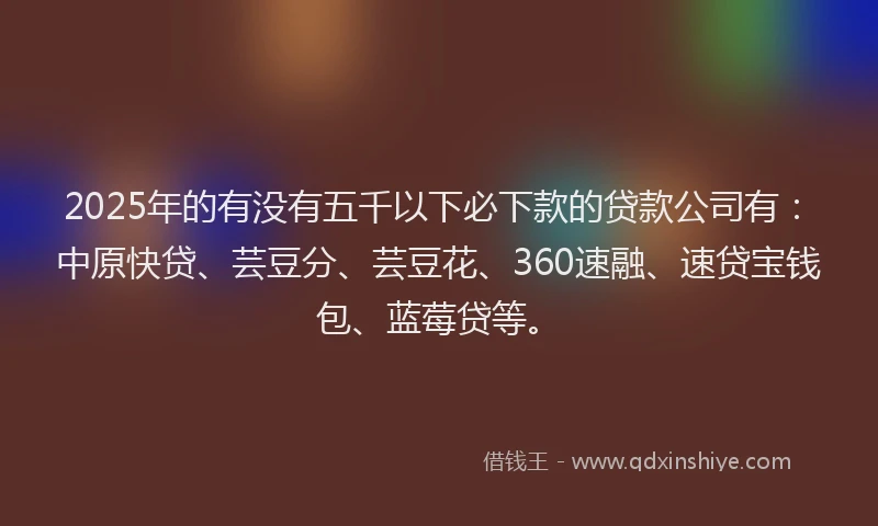 2025年的有没有五千以下必下款的贷款公司有：中原快贷、芸豆分、芸豆花、360速融、速贷宝钱包、蓝莓贷等。