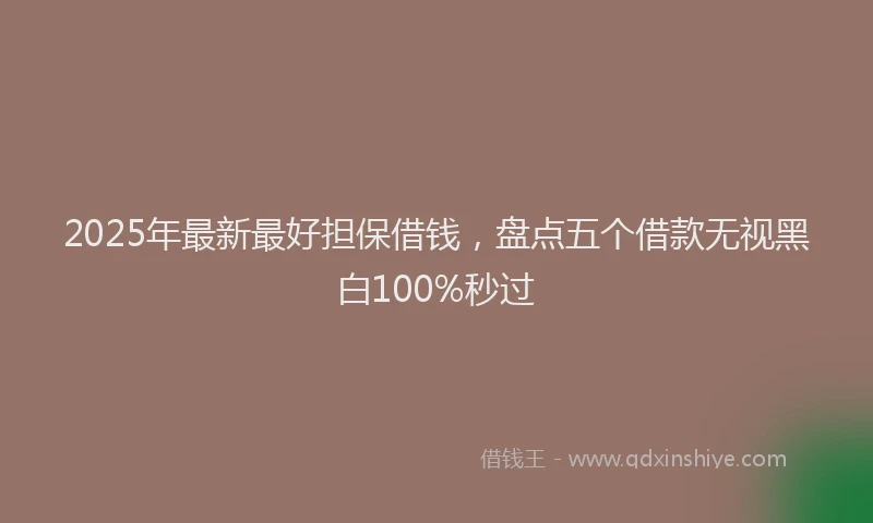 2025年最新最好担保借钱，盘点五个借款无视黑白100%秒过