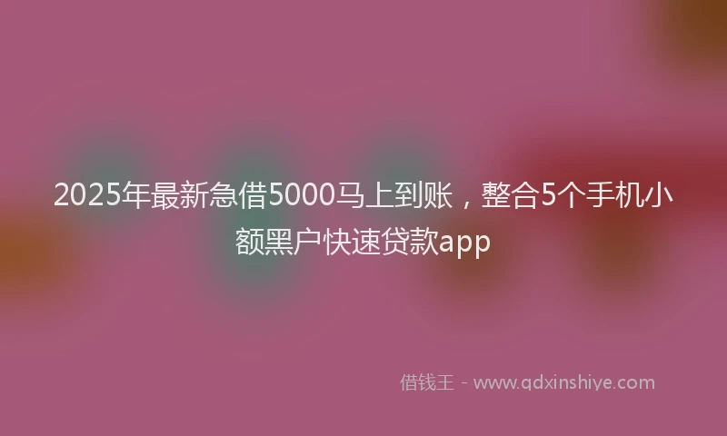 2025年最新急借5000马上到账，整合5个手机小额黑户快速贷款app