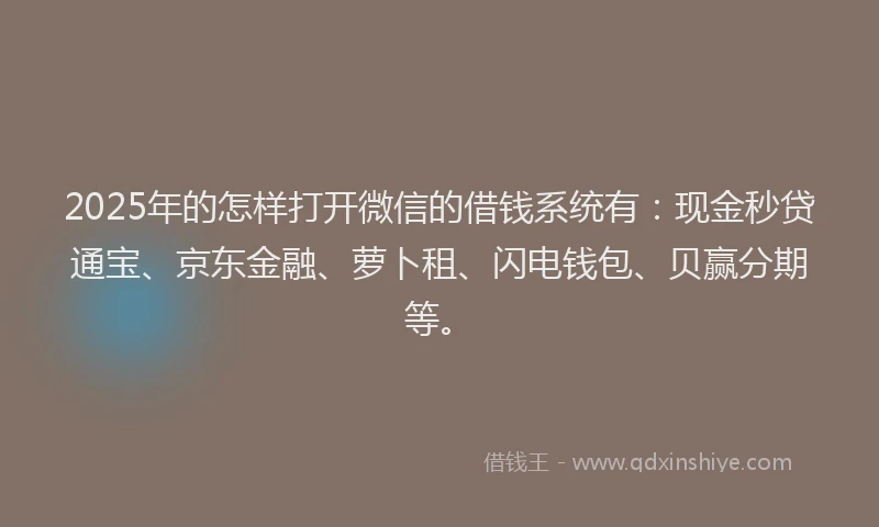 2025年的怎样打开微信的借钱系统有：现金秒贷通宝、京东金融、萝卜租、闪电钱包、贝赢分期等。