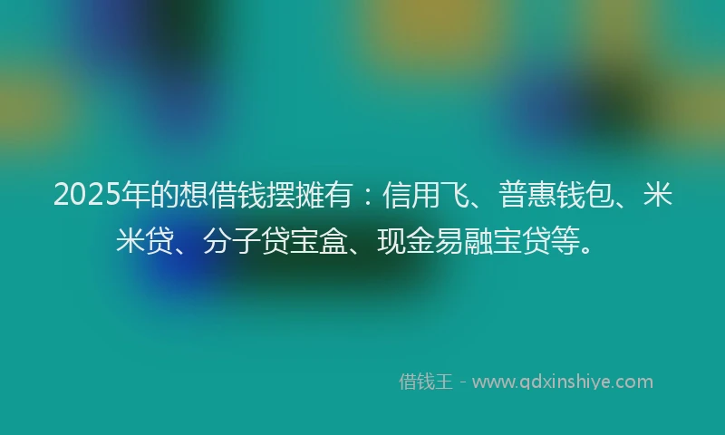 2025年的想借钱摆摊有：信用飞、普惠钱包、米米贷、分子贷宝盒、现金易融宝贷等。