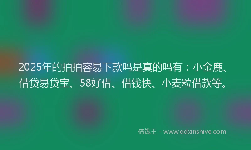 2025年的拍拍容易下款吗是真的吗有：小金鹿、借贷易贷宝、58好借、借钱快、小麦粒借款等。