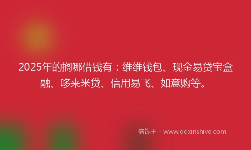 2025年的搁哪借钱有：维维钱包、现金易贷宝盒融、哆来米贷、信用易飞、如意购等。