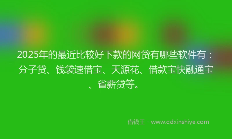 2025年的最近比较好下款的网贷有哪些软件有：分子贷、钱袋速借宝、天源花、借款宝快融通宝、省薪贷等。