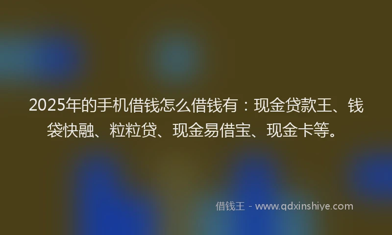 2025年的手机借钱怎么借钱有：现金贷款王、钱袋快融、粒粒贷、现金易借宝、现金卡等。