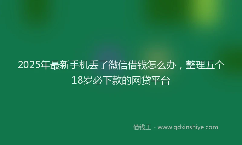 2025年最新手机丢了微信借钱怎么办，整理五个18岁必下款的网贷平台