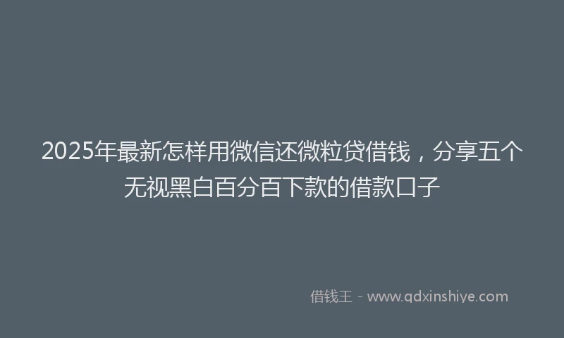 2025年最新怎样用微信还微粒贷借钱，分享五个无视黑白百分百下款的借款口子