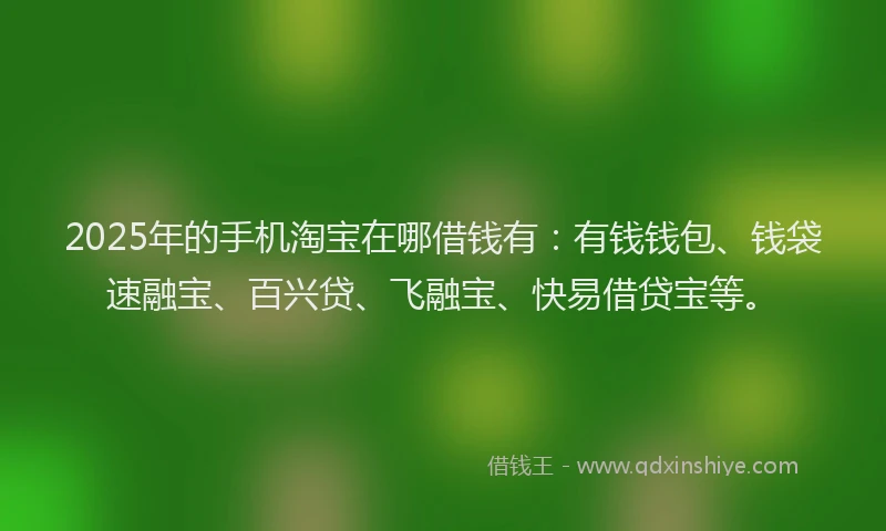 2025年的手机淘宝在哪借钱有：有钱钱包、钱袋速融宝、百兴贷、飞融宝、快易借贷宝等。