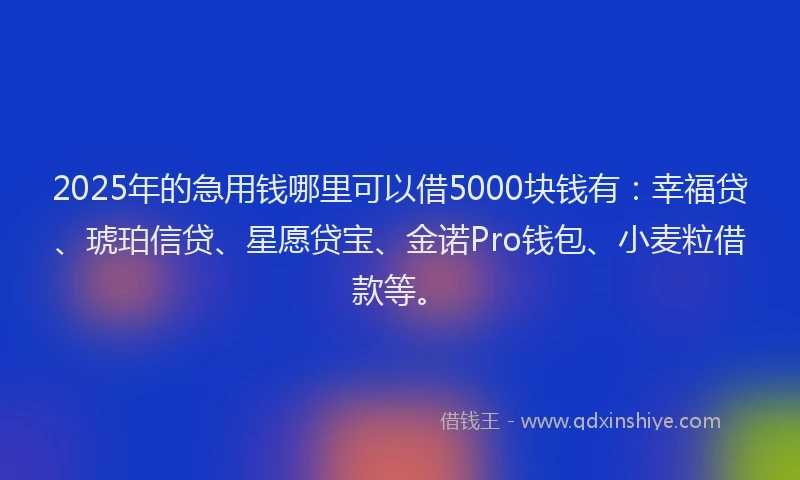 2025年的急用钱哪里可以借5000块钱有：幸福贷、琥珀信贷、星愿贷宝、金诺Pro钱包、小麦粒借款等。
