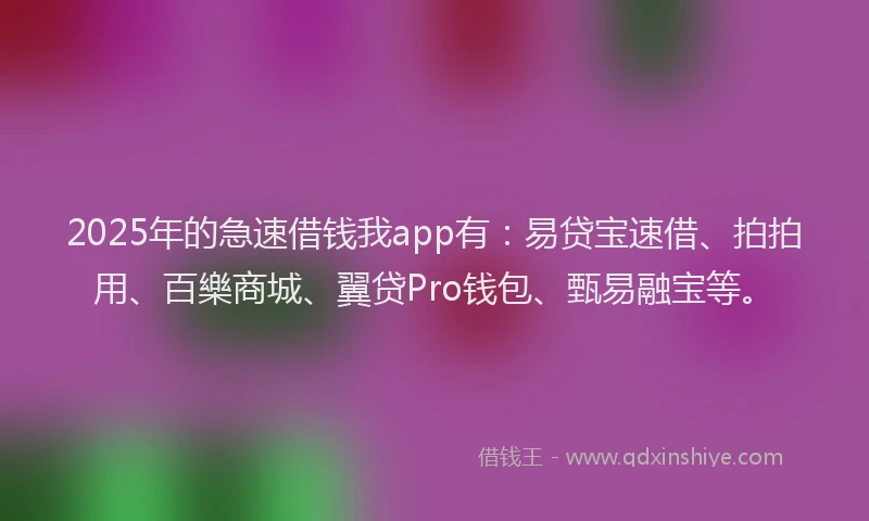 2025年的急速借钱我app有：易贷宝速借、拍拍用、百樂商城、翼贷Pro钱包、甄易融宝等。