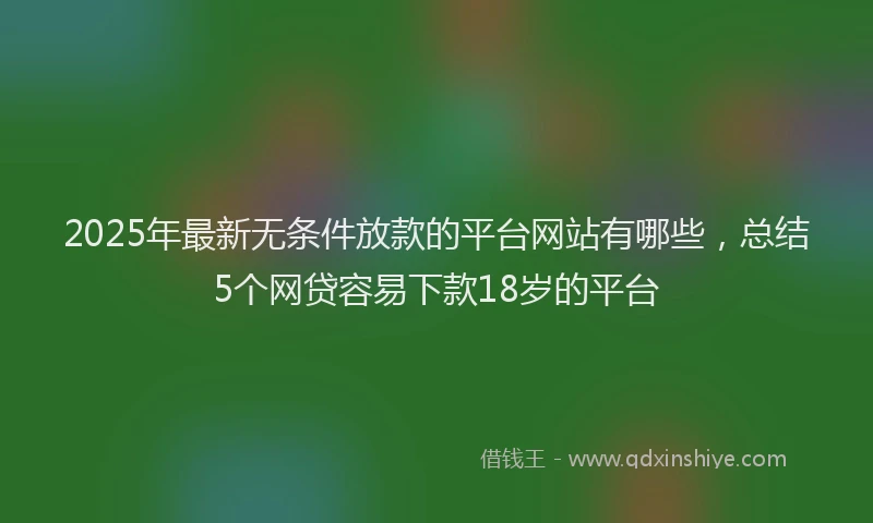 2025年最新无条件放款的平台网站有哪些，总结5个网贷容易下款18岁的平台