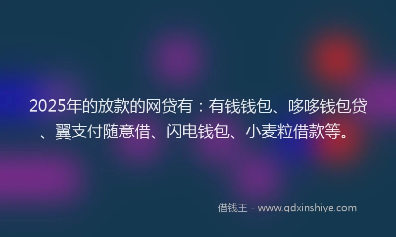 2025年的放款的网贷有：有钱钱包、哆哆钱包贷、翼支付随意借、闪电钱包、小麦粒借款等。