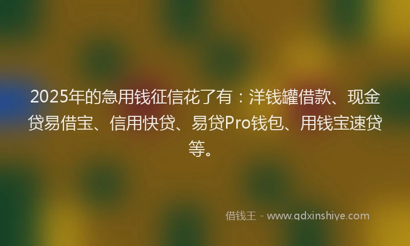 2025年的急用钱征信花了有：洋钱罐借款、现金贷易借宝、信用快贷、易贷Pro钱包、用钱宝速贷等。