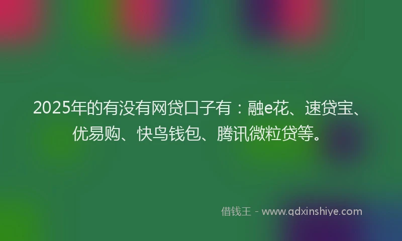 2025年的有没有网贷口子有：融e花、速贷宝、优易购、快鸟钱包、腾讯微粒贷等。
