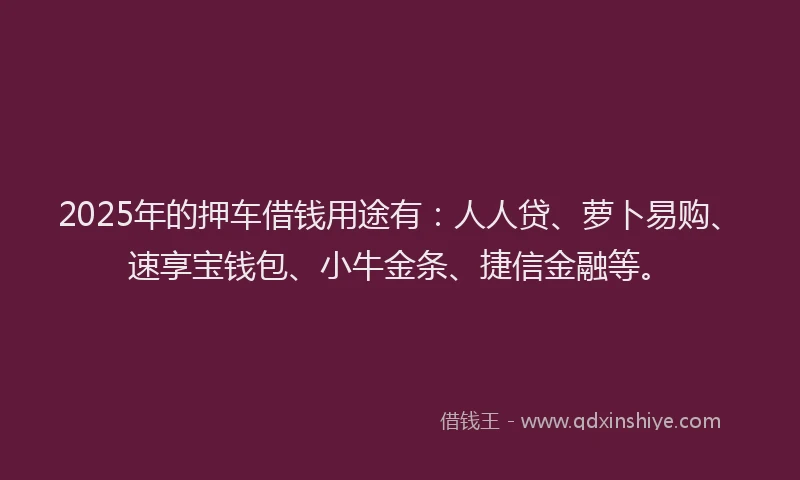 2025年的押车借钱用途有：人人贷、萝卜易购、速享宝钱包、小牛金条、捷信金融等。