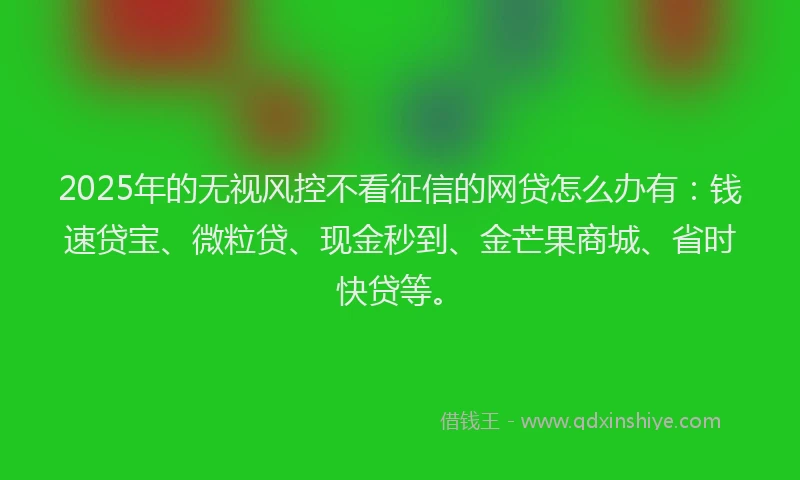 2025年的无视风控不看征信的网贷怎么办有：钱速贷宝、微粒贷、现金秒到、金芒果商城、省时快贷等。