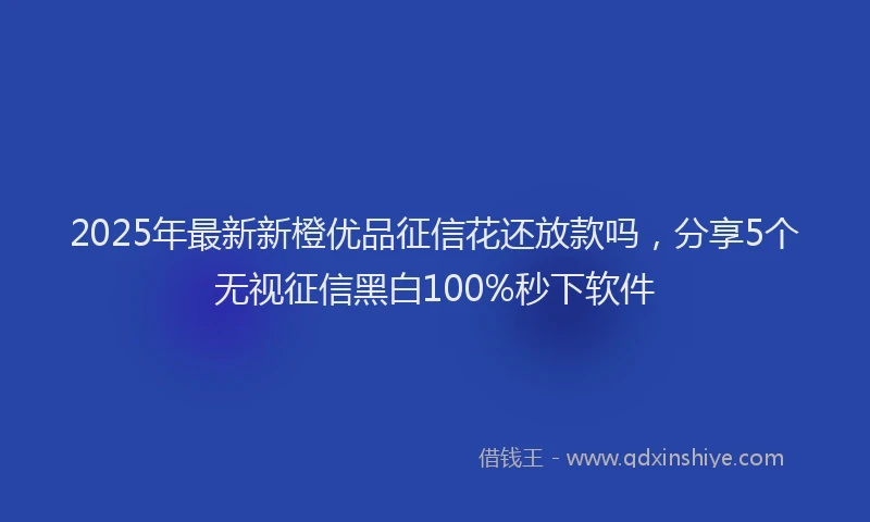 2025年最新新橙优品征信花还放款吗，分享5个无视征信黑白100%秒下软件