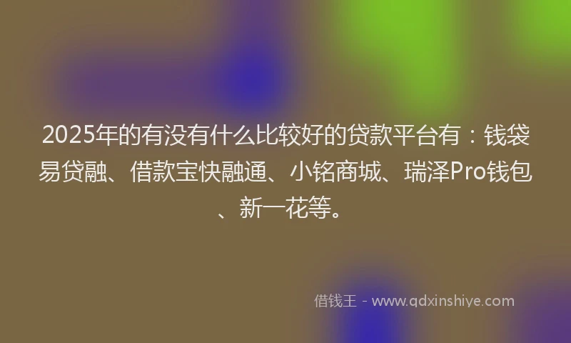 2025年的有没有什么比较好的贷款平台有：钱袋易贷融、借款宝快融通、小铭商城、瑞泽Pro钱包、新一花等。