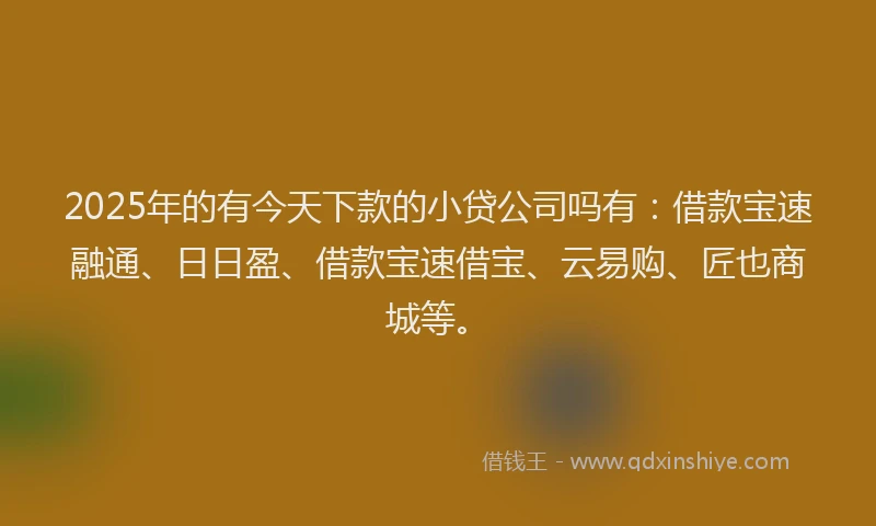 2025年的有今天下款的小贷公司吗有：借款宝速融通、日日盈、借款宝速借宝、云易购、匠也商城等。