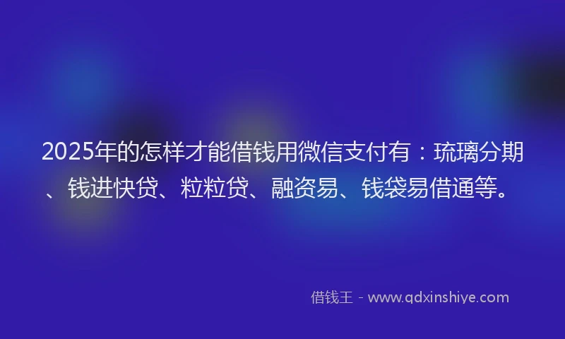 2025年的怎样才能借钱用微信支付有：琉璃分期、钱进快贷、粒粒贷、融资易、钱袋易借通等。