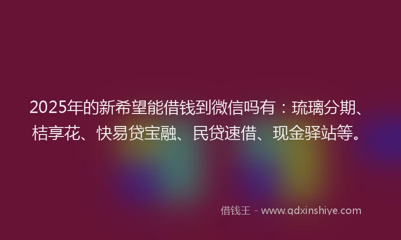 2025年的新希望能借钱到微信吗有：琉璃分期、桔享花、快易贷宝融、民贷速借、现金驿站等。