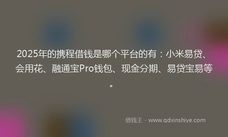2025年的携程借钱是哪个平台的有：小米易贷、会用花、融通宝Pro钱包、现金分期、易贷宝易等。