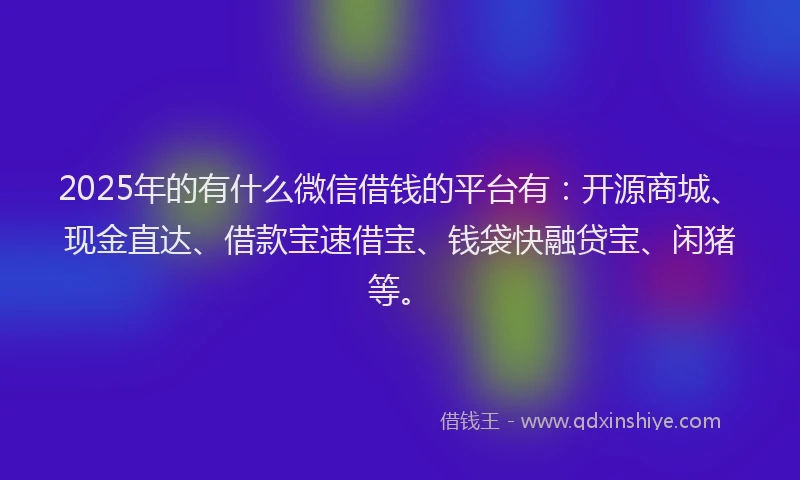 2025年的有什么微信借钱的平台有：开源商城、现金直达、借款宝速借宝、钱袋快融贷宝、闲猪等。