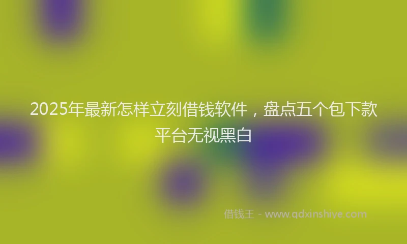 2025年最新怎样立刻借钱软件，盘点五个包下款平台无视黑白