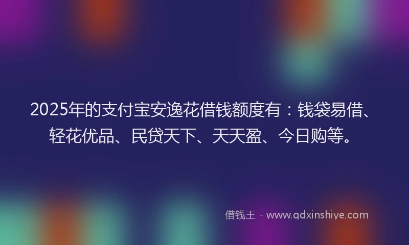 2025年的支付宝安逸花借钱额度有：钱袋易借、轻花优品、民贷天下、天天盈、今日购等。
