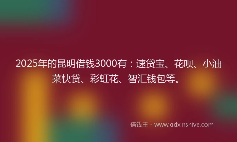 2025年的昆明借钱3000有：速贷宝、花呗、小油菜快贷、彩虹花、智汇钱包等。