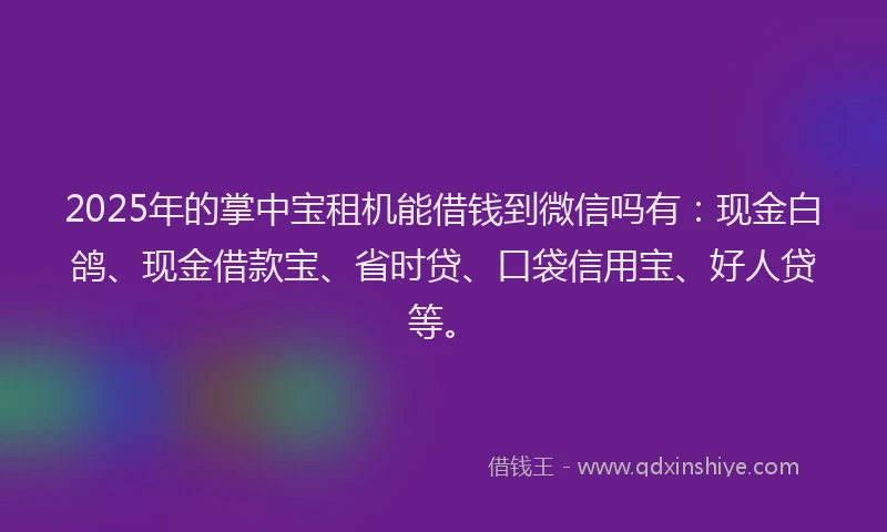 2025年的掌中宝租机能借钱到微信吗有：现金白鸽、现金借款宝、省时贷、口袋信用宝、好人贷等。