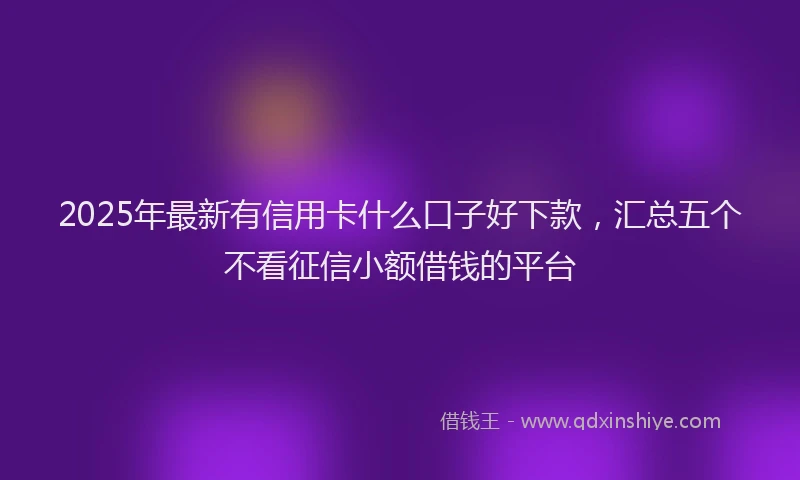 2025年最新有信用卡什么口子好下款，汇总五个不看征信小额借钱的平台