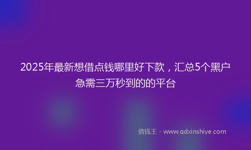 2025年最新想借点钱哪里好下款，汇总5个黑户急需三万秒到的的平台