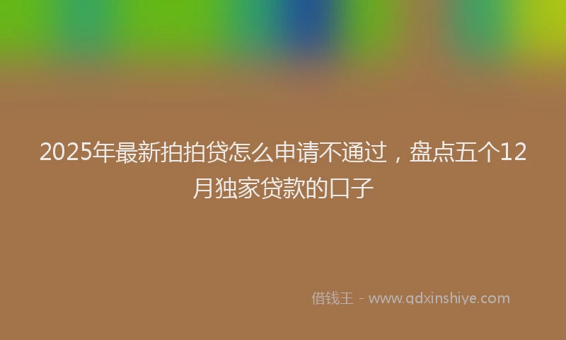 2025年最新拍拍贷怎么申请不通过，盘点五个12月独家贷款的口子