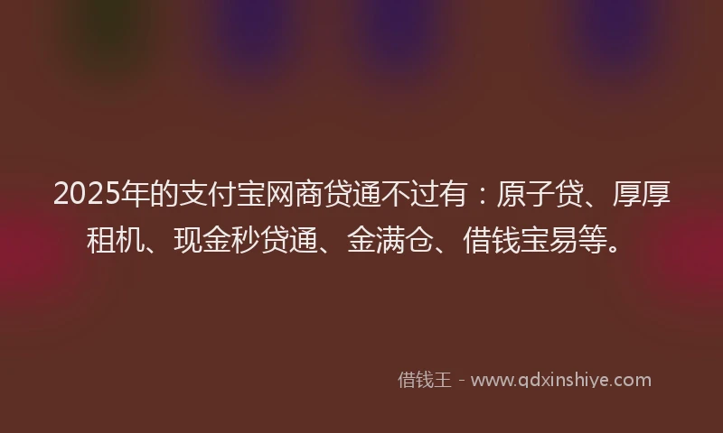 2025年的支付宝网商贷通不过有：原子贷、厚厚租机、现金秒贷通、金满仓、借钱宝易等。