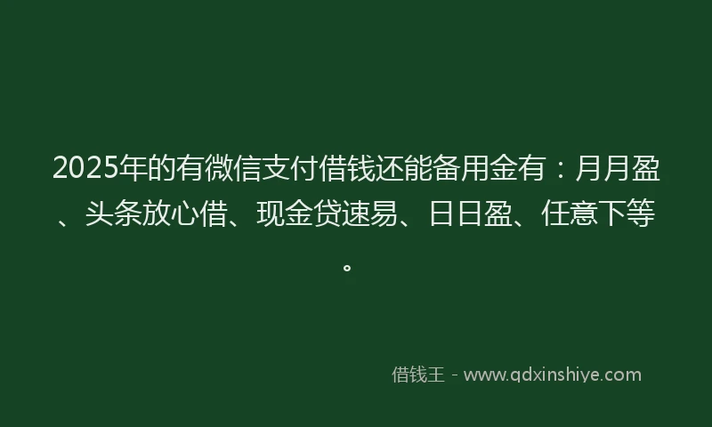 2025年的有微信支付借钱还能备用金有：月月盈、头条放心借、现金贷速易、日日盈、任意下等。