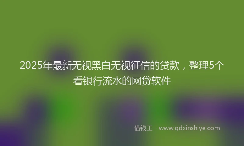 2025年最新无视黑白无视征信的贷款，整理5个看银行流水的网贷软件