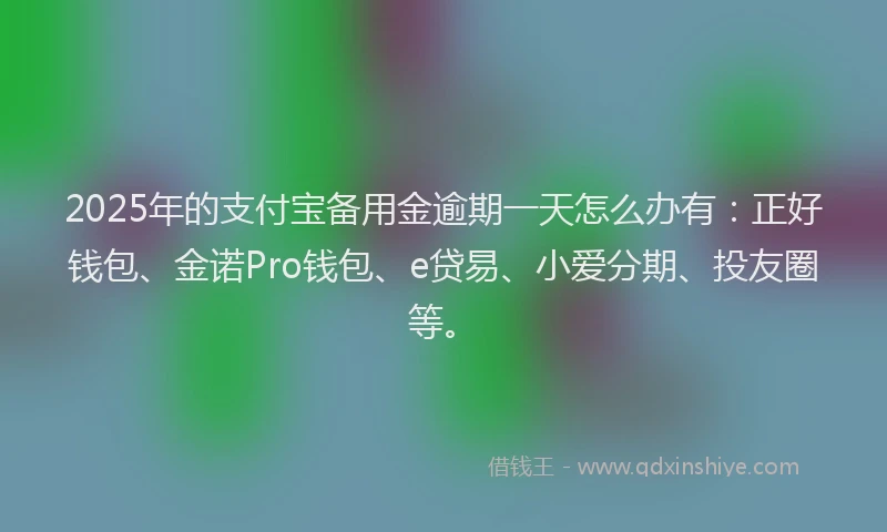 2025年的支付宝备用金逾期一天怎么办有：正好钱包、金诺Pro钱包、e贷易、小爱分期、投友圈等。