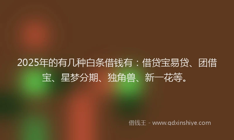 2025年的有几种白条借钱有：借贷宝易贷、团借宝、星梦分期、独角兽、新一花等。