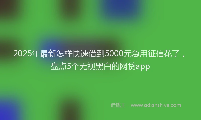 2025年最新怎样快速借到5000元急用征信花了，盘点5个无视黑白的网贷app