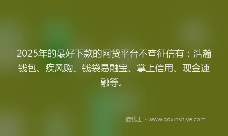 2025年的最好下款的网贷平台不查征信有：浩瀚钱包、疾风购、钱袋易融宝、掌上信用、现金速融等。