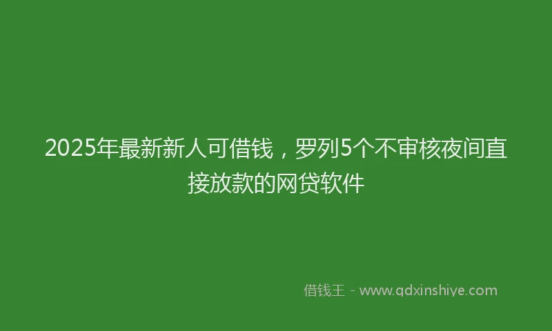2025年最新新人可借钱，罗列5个不审核夜间直接放款的网贷软件